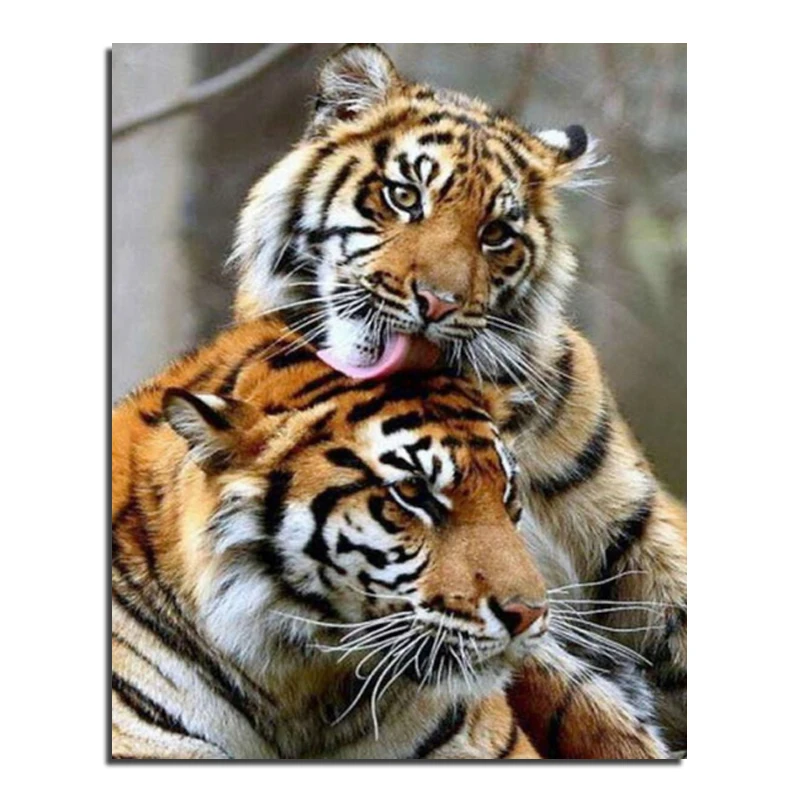 Download 100+ Gambar Harimau Cita Keren Gratis HD