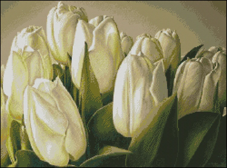 CS-856 cross stitch kit tulip white tulips elephant flower flowers.jpg