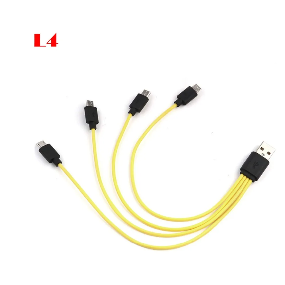 L4