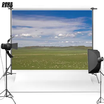 

DAWNKNOW Lawn New Fabric Polyester Photography Background For Wedding Grassland Vinyl Backdrop For Newborn Photo studio lv121