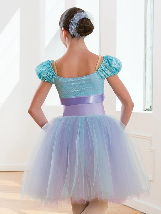 2018 Ż  ߷   ҳ ballettutu ǻ   proformance   巹 B-2402