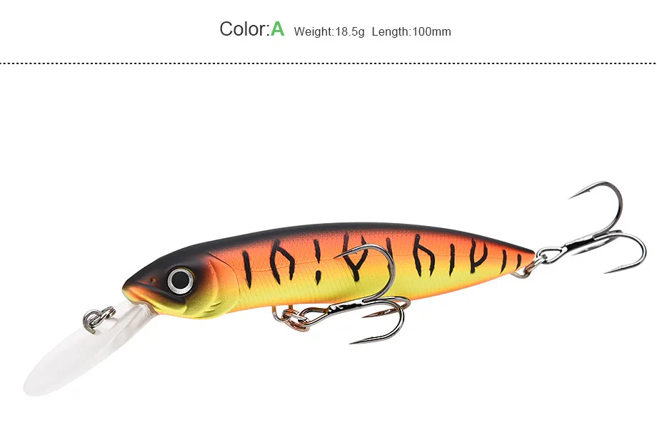 minnow-1_06