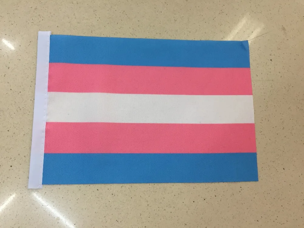 50pcs/lot Rainbow Flags And Banners 14x21cm Lesbian Gay Pride Lgbt Flag