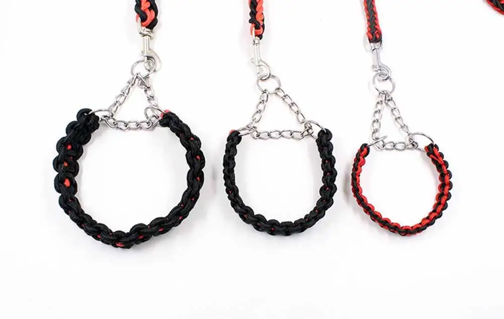 11 Collars, Harnesses & Leads