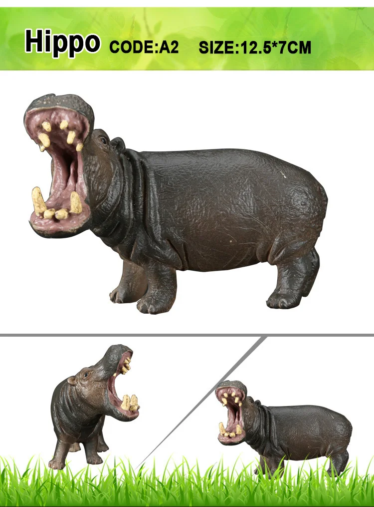 hippo