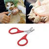 Buena Compra Tijeras para uñas de gato, herramientas de cuidado de garra de gato, accesorios para mascotas, herramientas de limpieza de garra de gato, Tijeras para uñas RbqQBmwV