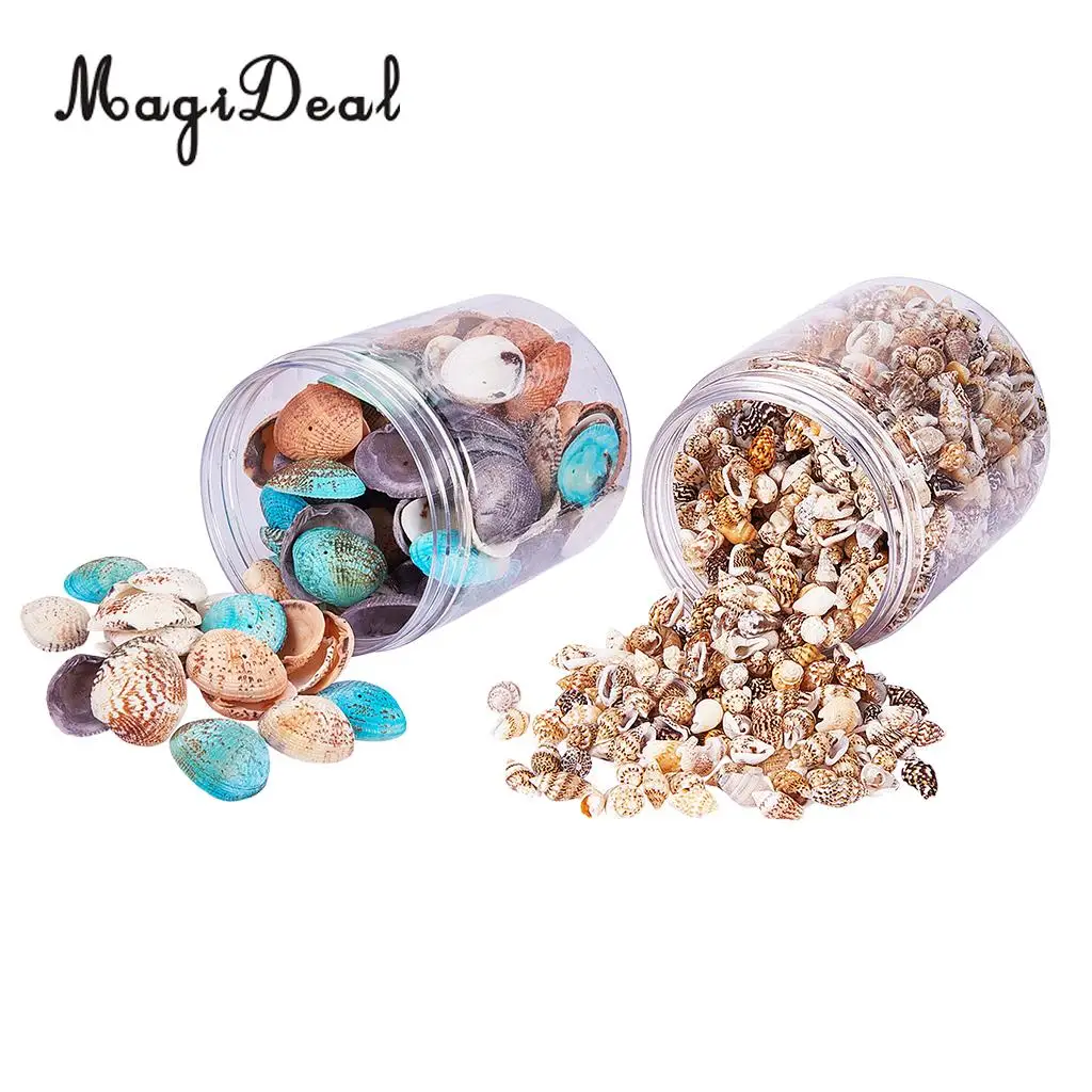 2 Box Multi Sea Shells Natural Conch Shells Beach Seashells, Colorful Assorted Accents for Candle Making Home Decorations
