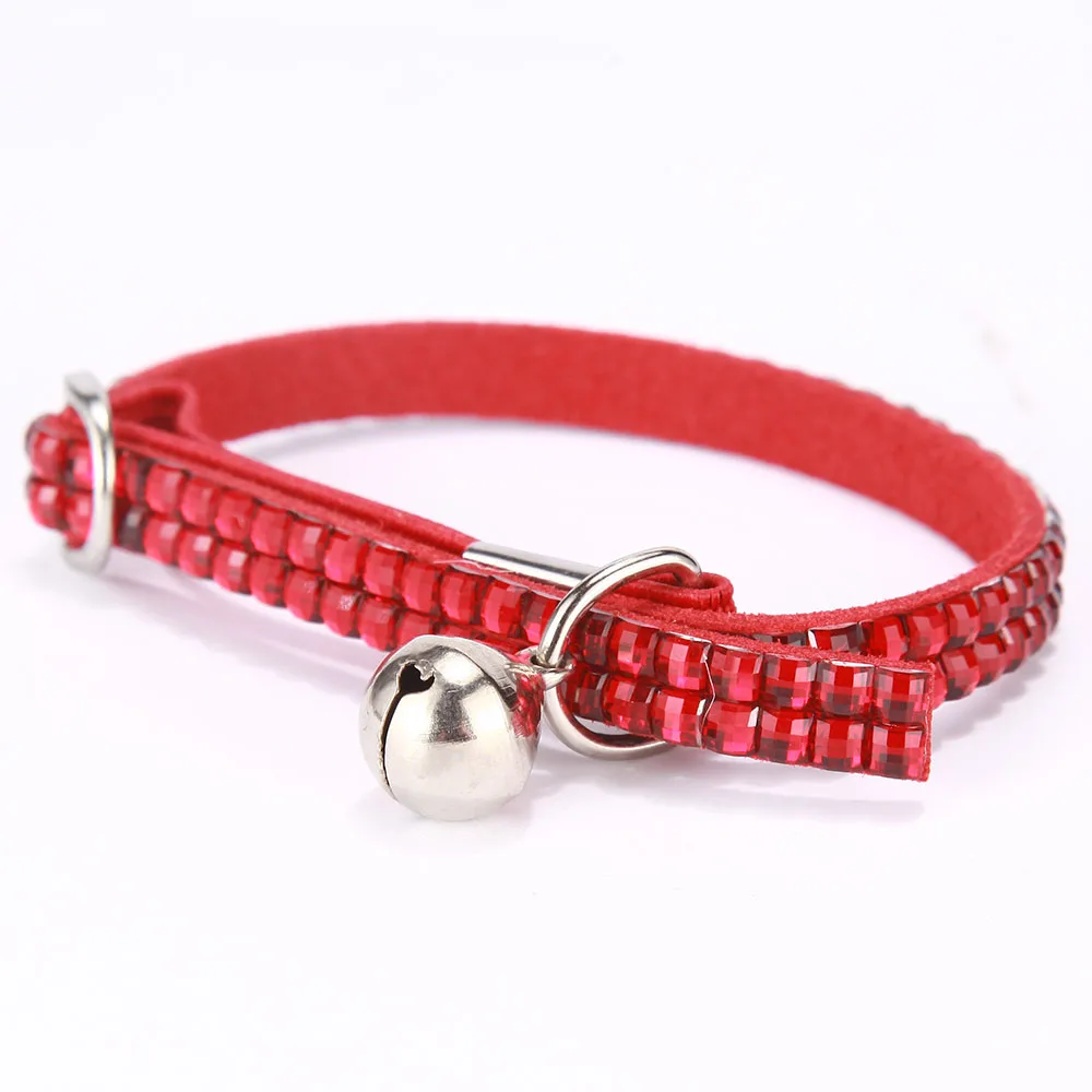 dog collar 5