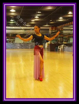 

Belly dance pants Transparent thin belly dance skirt Pants CM24-33