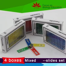 48pcs Kids Plastic Prepared Microscope Slides of Animals Insects Plants Flowers Specimens for Stereo Microscopes