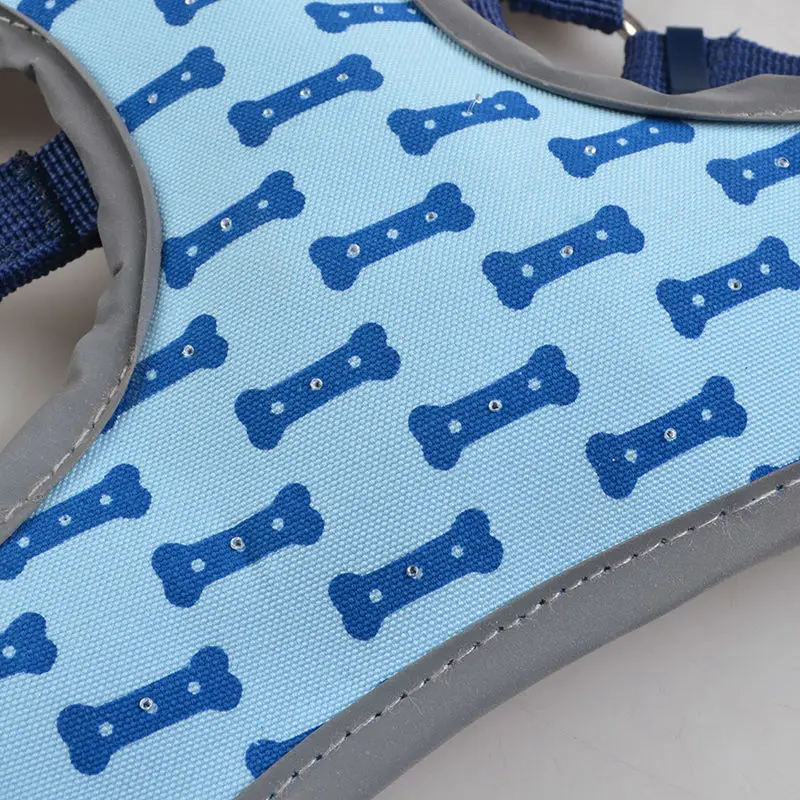 dog accessories
