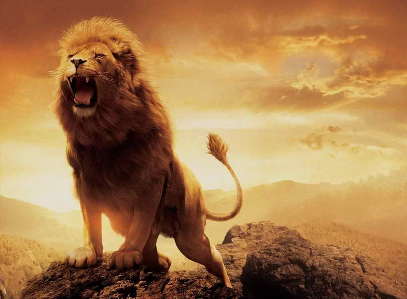 Home Decor Modern Art Wall Forest Animal Anger Lion Oil Painting Picture Printed On Canvas Home Sitting Room Decoration Painting Picture Lion Oil Paintingoil Painting Aliexpress Home Decor Modern Art Wall Forest Animal Anger Lion Oil Painting Picture Printed On Canvas Home Sitting Room Decoration Painting Picture Lion Oil Paintingoil Painting Aliexpress