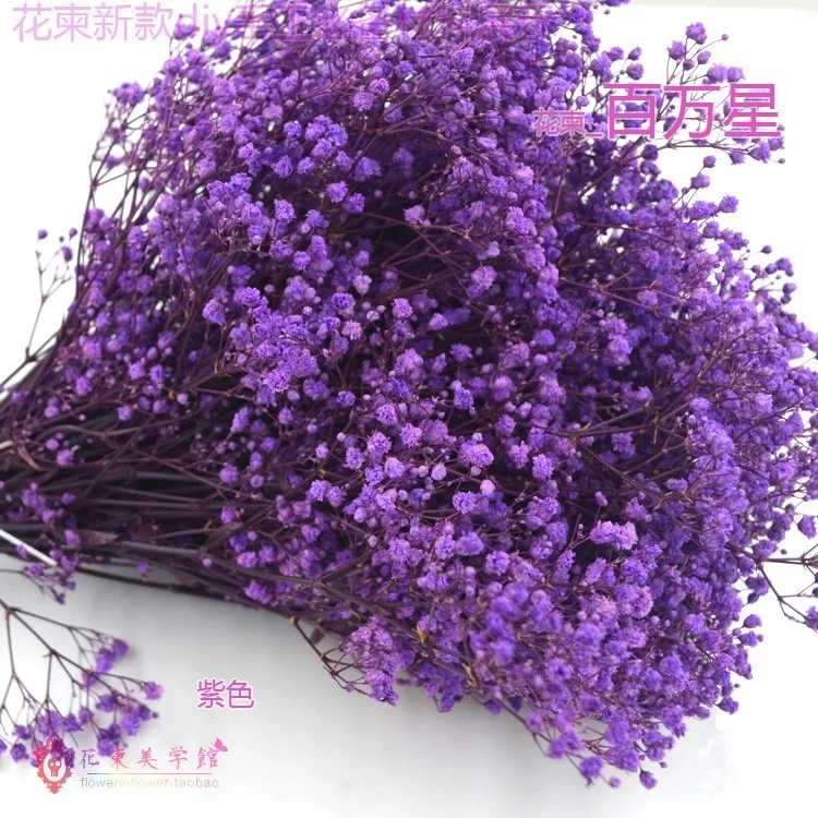 Цветок приглашение миллионов звезд_ Высокое качество декоративные diy ручной жизни высушенный цветок тиснением в Юньнань