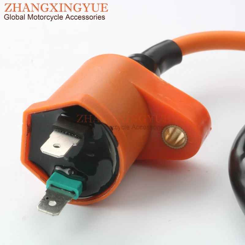 zhang203
