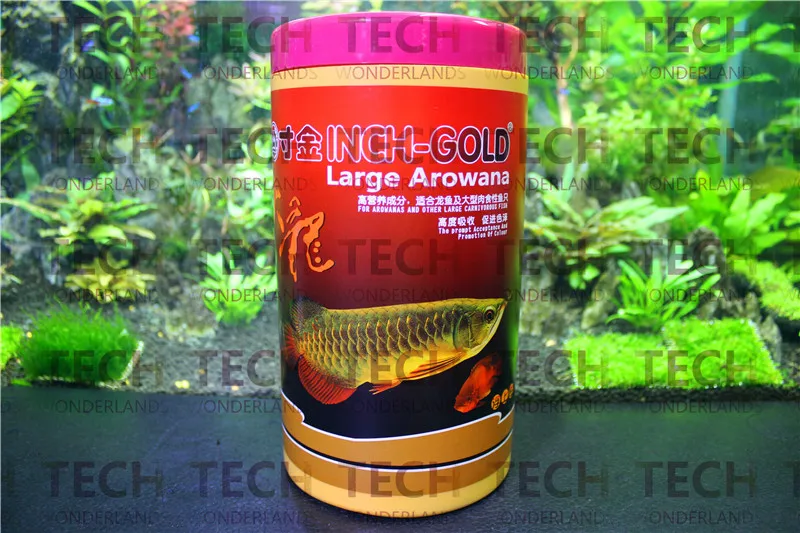 Online Buy Grosir aquarium ikan arowana from China