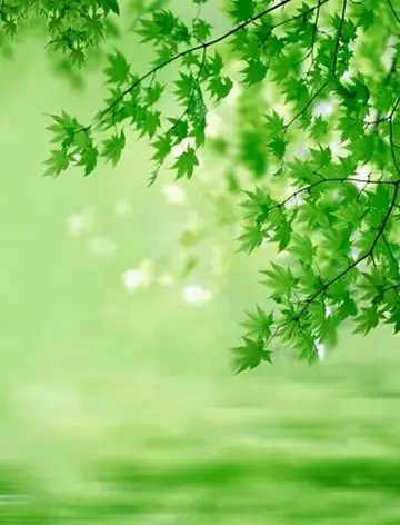 Unduh 5700 Koleksi Background Hijau Pemandangan HD Paling Keren