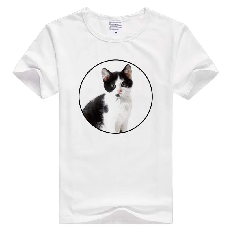 t0203