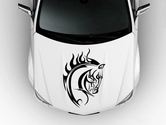 Aggressive Horse Art