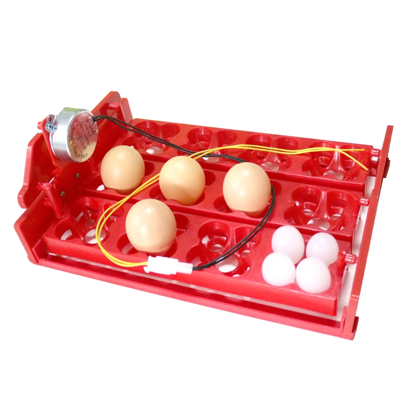 

Incubator Turn Eggs Tray 12 Eggs/48 Birds Eggs 220V / 110V / 12V Chicken Bird Automatic Incubator DIY Incubator Accessories