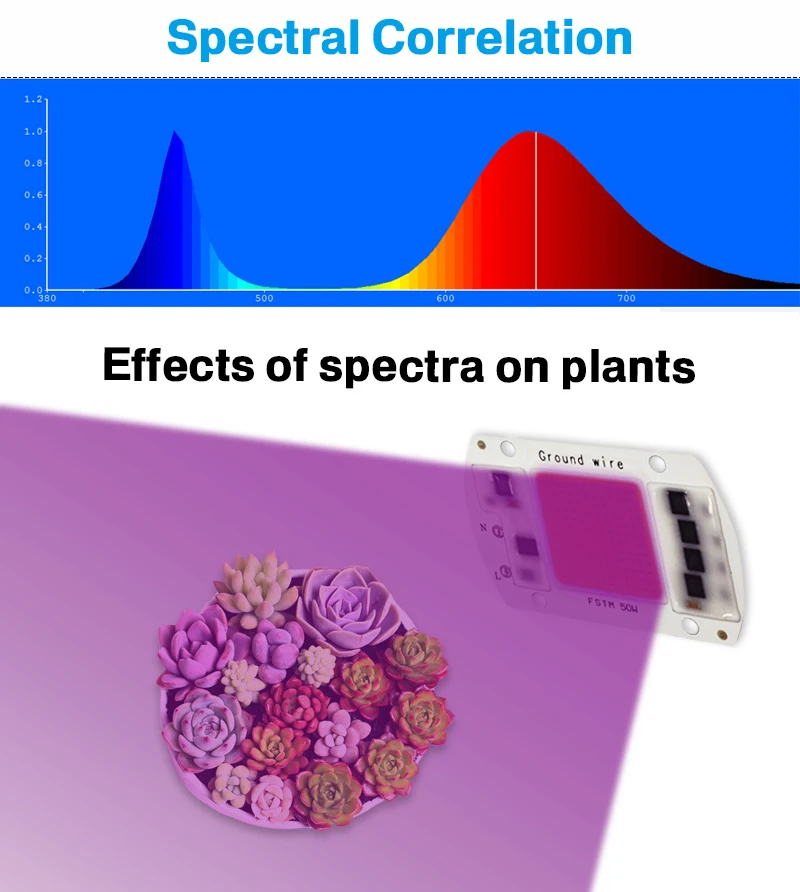 Светодиодный светильник COB 50 Вт для выращивания, полный спектр, 30 Вт, 20 Вт, 10 Вт, 220 В, 240 в, светодиодный фито-лампы
