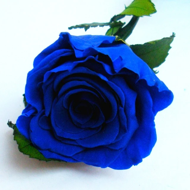 china rare dark blue