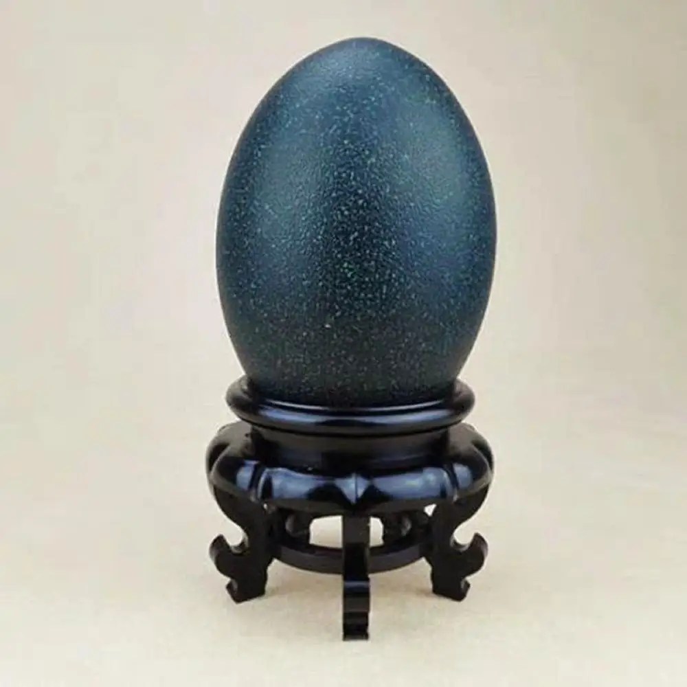 

11~14CM 1 Real Emu Egg Shell Animal Bird Taxidermy Egg Weird Craft Supply part Ostrich Emu Funny lovely