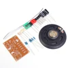 Cicada Sound Analog Circuit Suite Multivibrator DIY Kits High and Low Frequency Music Signal Simulation Cicada Voice Electronic ► Photo 2/6