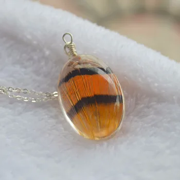 

Orange Black Pheasant Feathers Real Bird Wings Pendant Sterling Silver Color Chain Necklace Women Choker Boho Jewelry