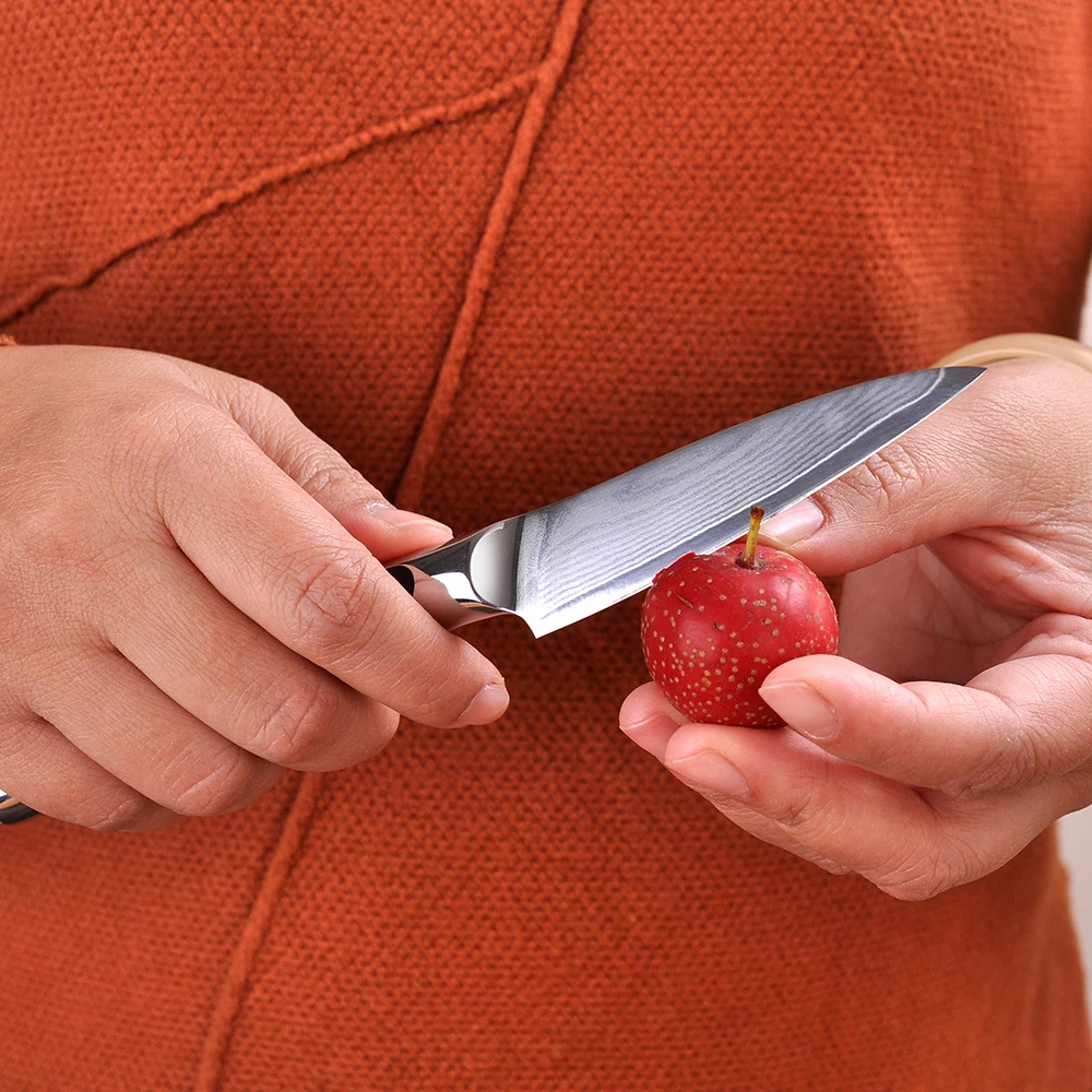 Sunnecko 3," нож для очистки овощей Дамасская сталь кухонные ножи для фруктового слайсера японский VG10 ядро бритвы острое лезвие G10 Ручка