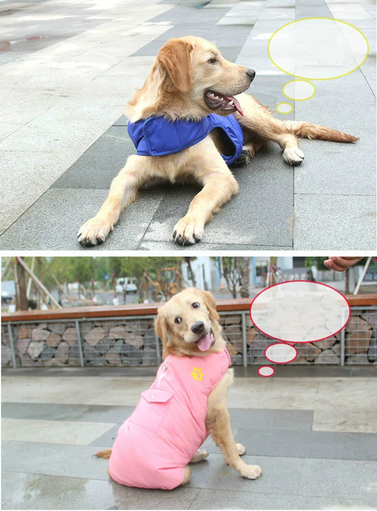 4703923026_609020808_meitu_15_meitu_22