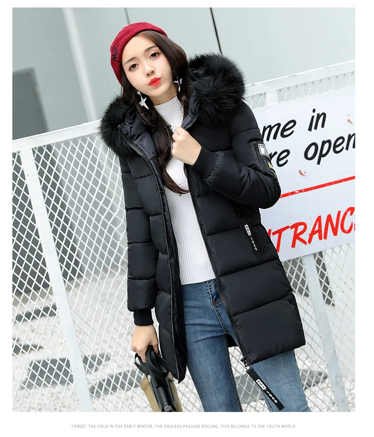 Women's Winter Jackets Winter Woman Coats 2019 Medium And Long Section Down Cotton Clothing Fashion Thickening Coat Female Parks (5)