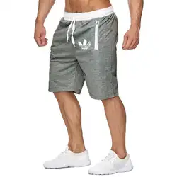 2019 новые летние повседневные шорты мужские хлопковые модные стильные мужские шорты-бермуды пляжные 8 цветов Шорты Плюс Размер Short шорты для