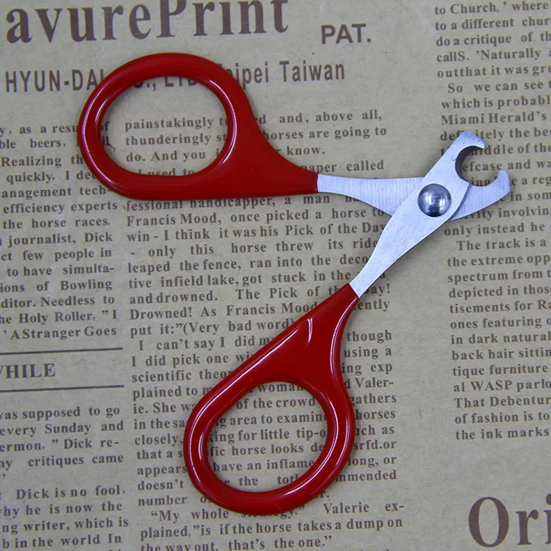 

Hoomall Stainless Steel Professional Nail Clippers Pet birds Nail Scissor Nail Cutter Puppy Kitten Grooming Supplies