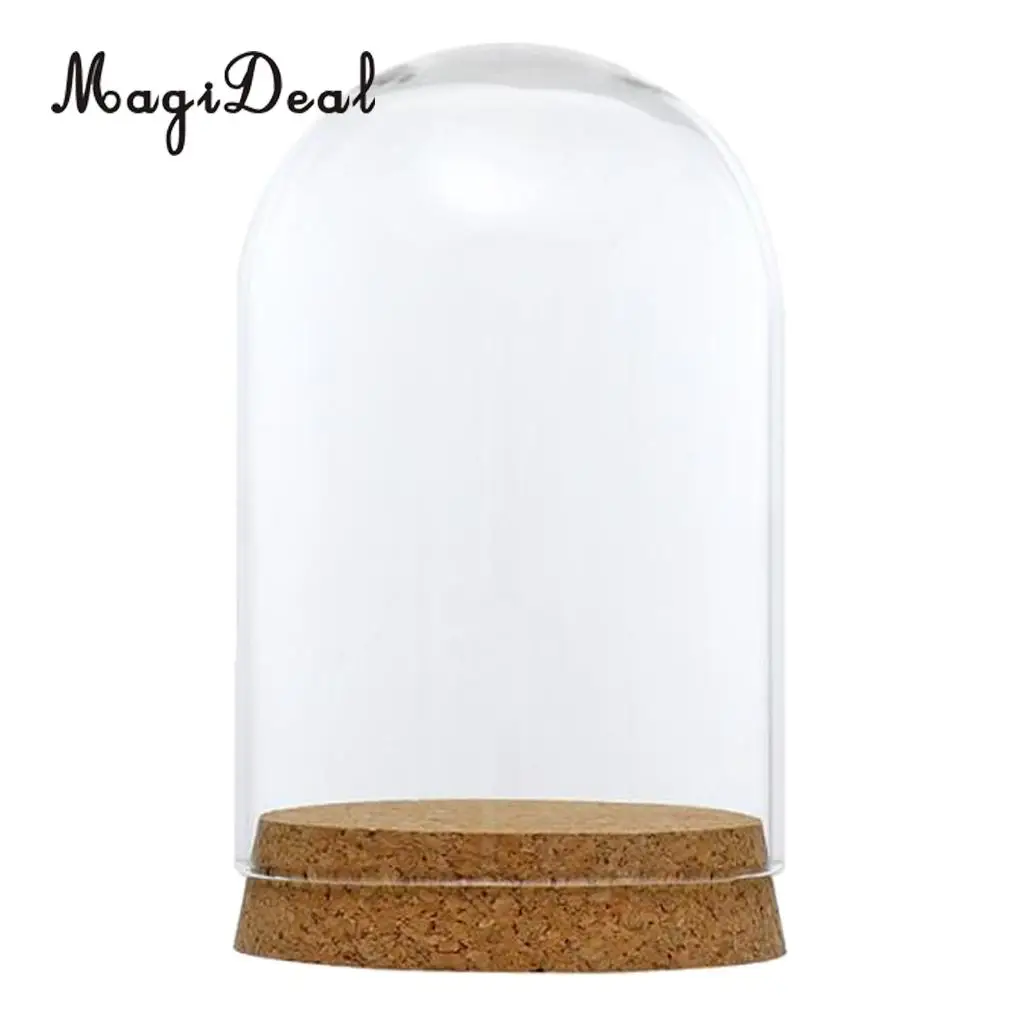 2pcs Clear Glass Display Dome Cover Cloche Bell Jar Succulent Terrariums with Wood Cork for Office Table Decor DIY