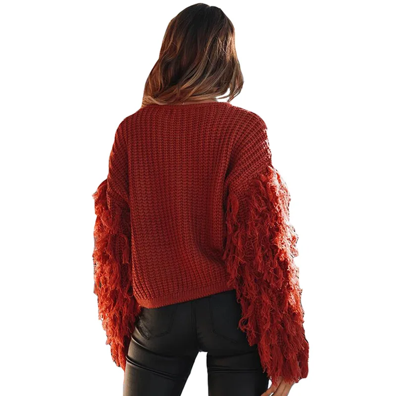 ShejoinSheenjoy Tassel Long Sleeve Knitted Sweater Women Tops Pullovers O-Neck Autumn Winter Short Pullover Women Sweaters (39)