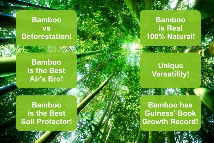 100/200pcs 4.7 inch Bamboo Skewers Paddle Sticks For BBQ Fruit Toothpicks Party Supplies Chicken Skewer Appetizers and Cocktails