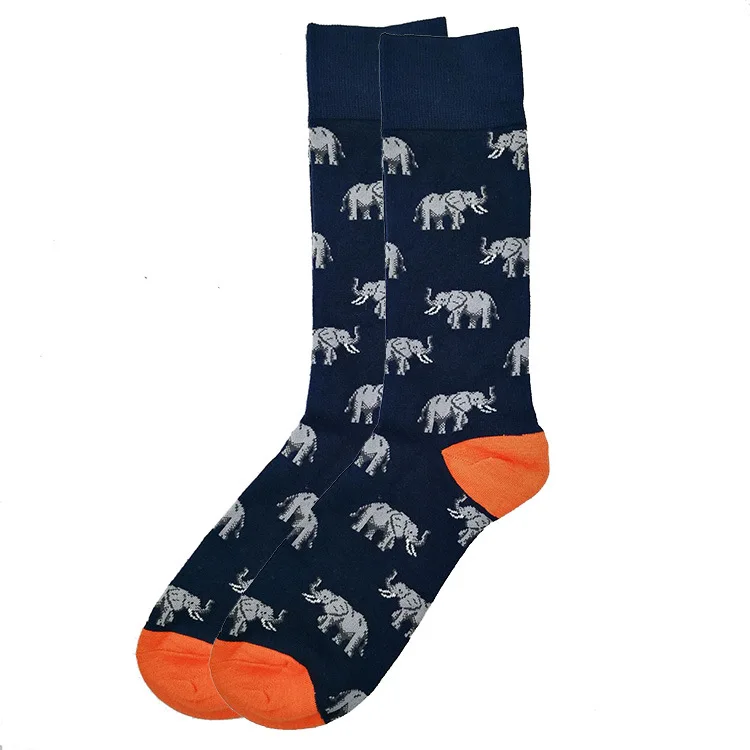 10396513653_54730976