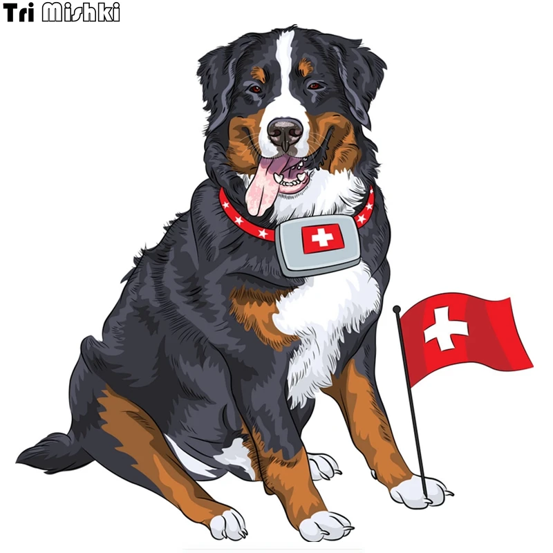 

Tri Mishki WCS123 15*15cm happy bernese mountain dog with a first aid kit car sticker auto automobile decals car stickers