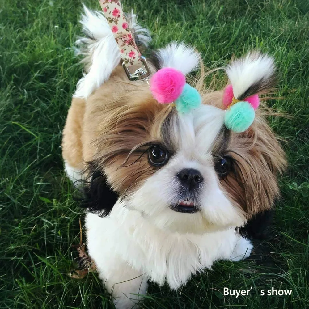 Tiny dog hair bows Clearance