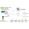 Smart Electronics