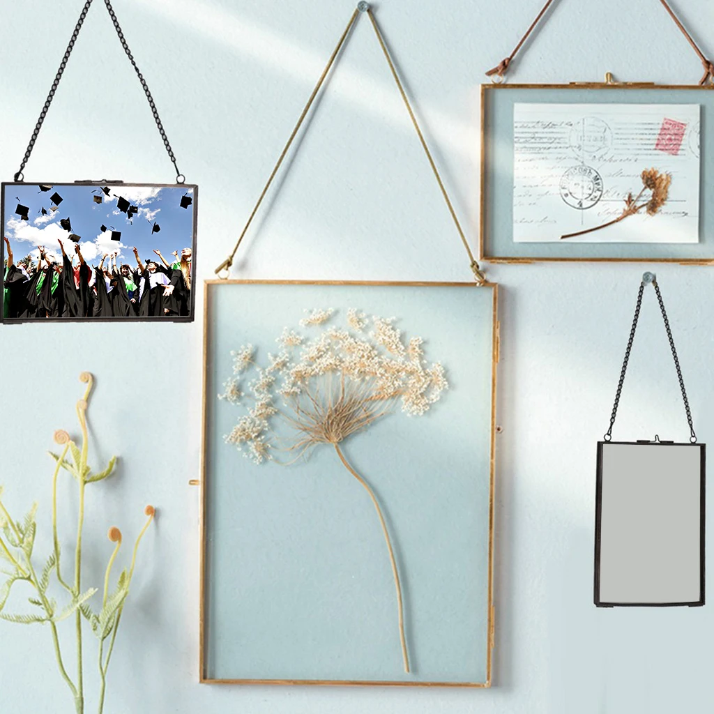 Hanging Picture Frame Wall Mounted Photo Frame Flower Plant Display Frame for DIY Wall Decoration, with 2 Sides Glass