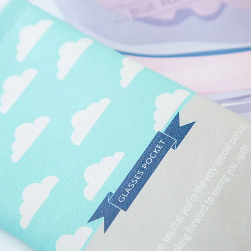 Sunglasses Reading Glasses Case (4)