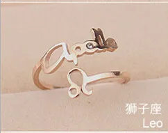 Hot Simple delicate creative trendy fine Titanium steel personality The series 12 constellation Leo women's Rings for women R029 |
