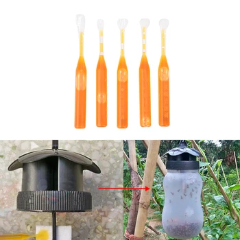 

10pcs/Set Bee Swarm Attractant Lures Bait Trap Beekeeping Hive Honey Fruits Tool