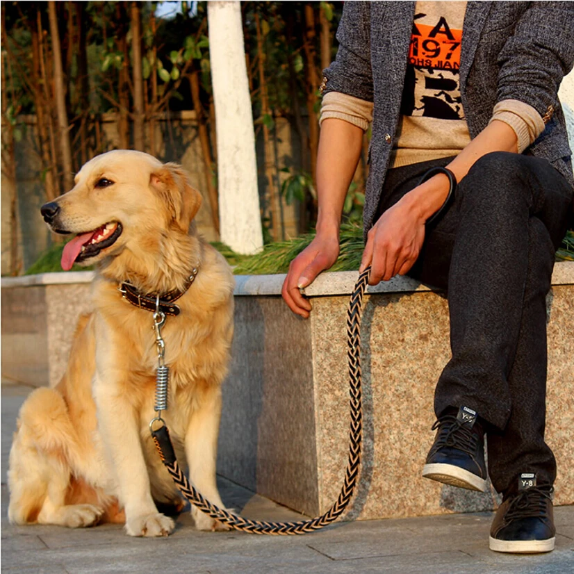 

High Quality Cowhide Breed Dog Collars Leash Dog Chain Pet Traction Rope Solid Leather Medium/Large Dog Pet Supplies