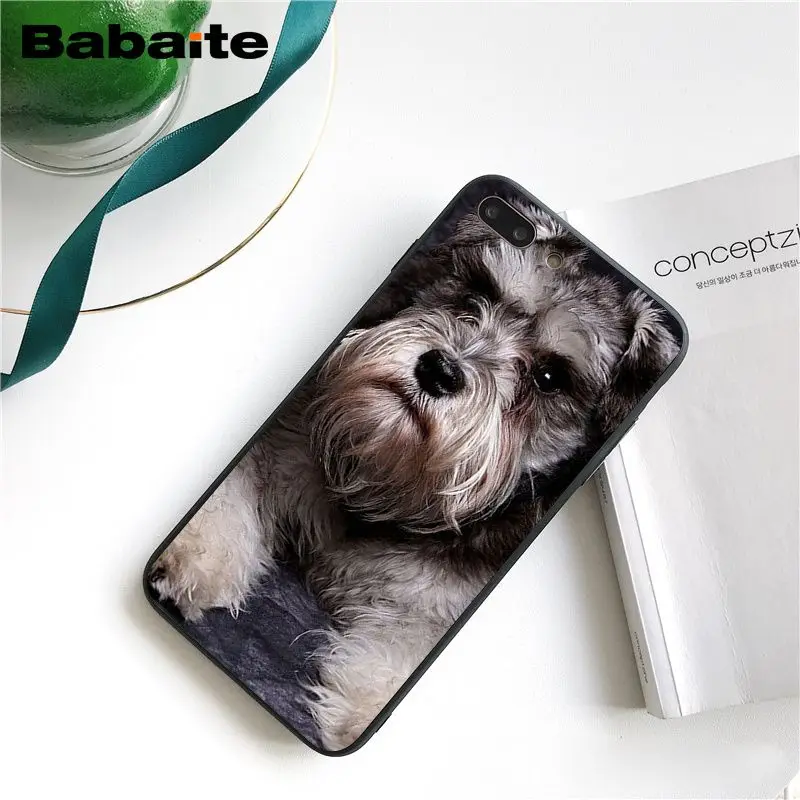 Babaite чехол для телефона с милыми собаками Шнауцер для iphone 11 Pro 11Pro Max 8 7 6 6S Plus X XS MAX 5 5S SE XR