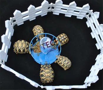 

Tortoise Lizard Reptile 350ML Feeder Bowl Autodrinker Feeding Basin Water Feeder Free Shipping Green Yellow Blue