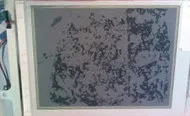 

100% Tested for LCD screen PSR S710 PSR-S710