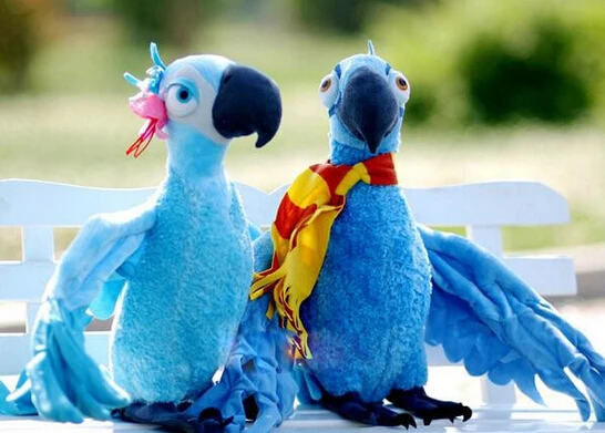 28cm Anime Rio Blu En Jewel Papegaai De Film Rio 2 Pluche Soft Gevulde Pop Speelgoed Aliexpress Mobile