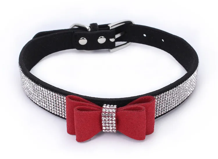 dogs collar (5)